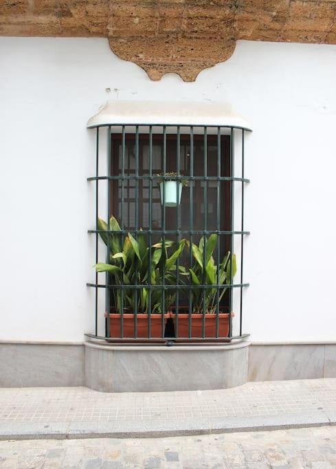 Fancy Apartment In A Historic House, Chiclana City Center By C. Dreams Chiclana de la Frontera Dış mekan fotoğraf